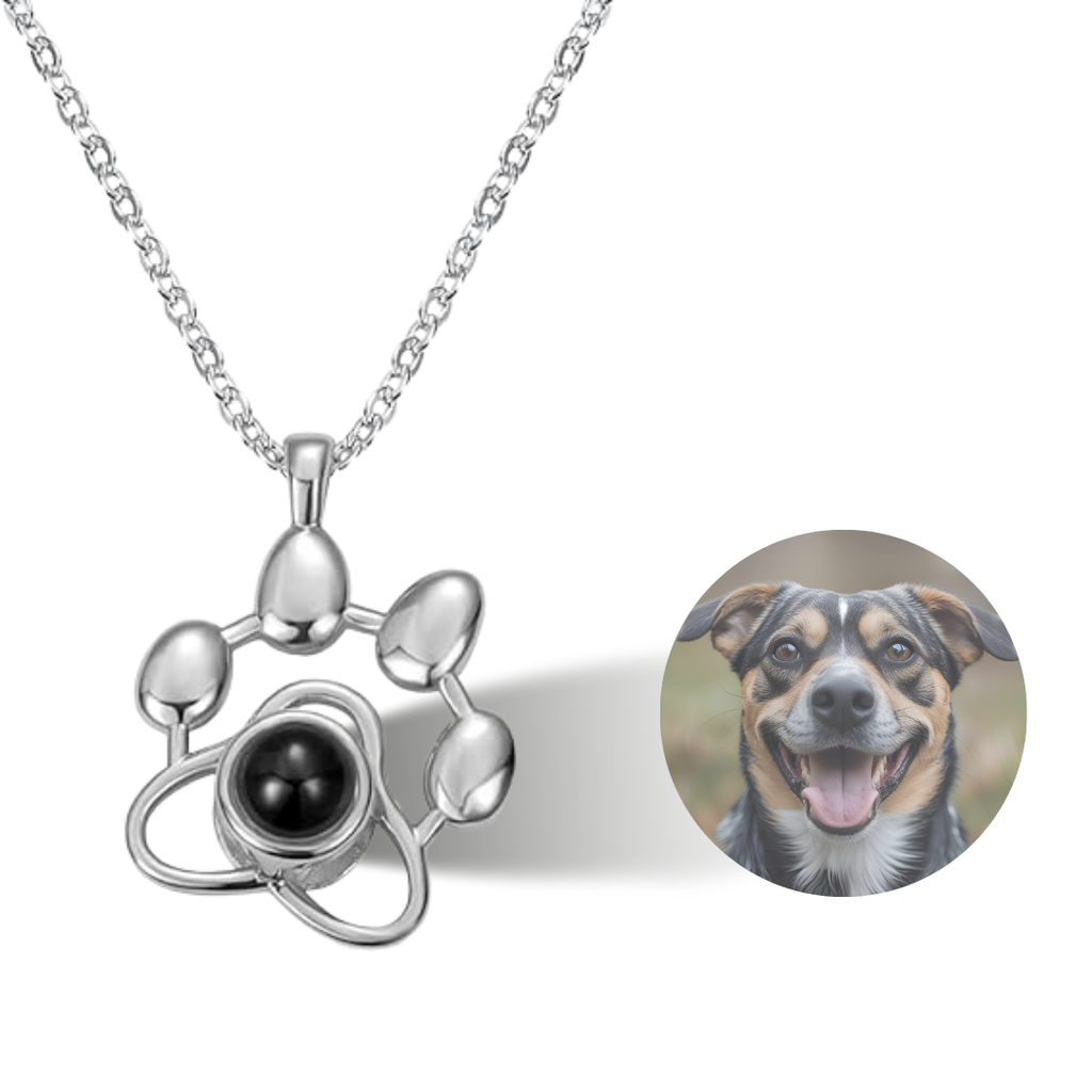 Collar Proyección Personalizada